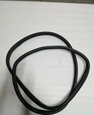 Dodge Durango Rear door rubber seal (on body) 