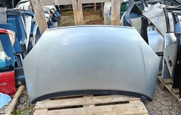 Engine bonnet/hood