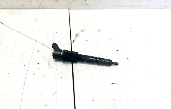 Renault Scenic I Fuel injector 8200100272 0445110110b
