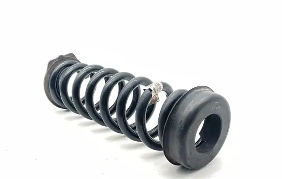 Rear coil spring