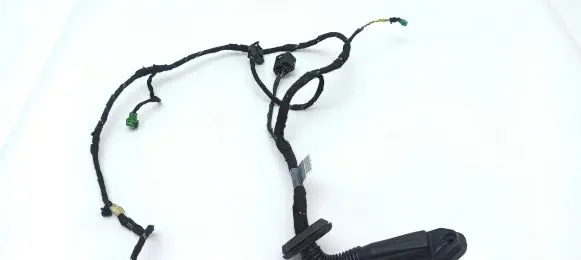 Front door wiring loom