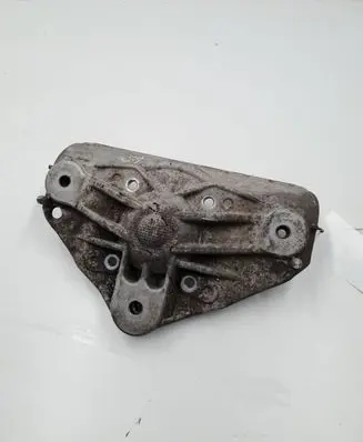 Coil spring mount