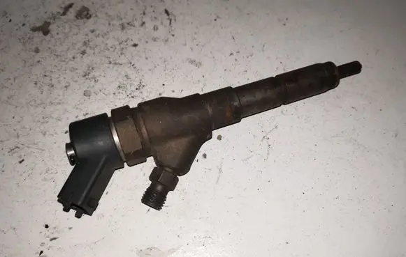 Citroen C5 Fuel injector 0445110008 9635196580