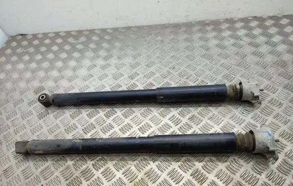 Ford Ecosport Rear shock absorber/damper FN1C18080CA
