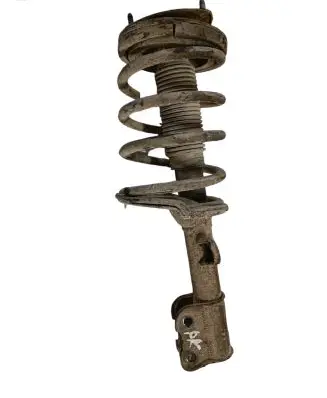 Hyundai Santa Fe Front shock absorber with coil spring