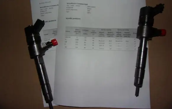 Fiat Punto (188) Fuel injector 0445110019