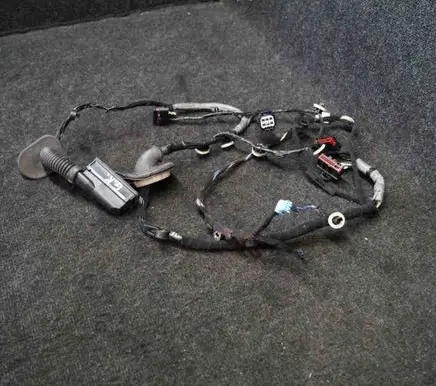 Rear door wiring loom