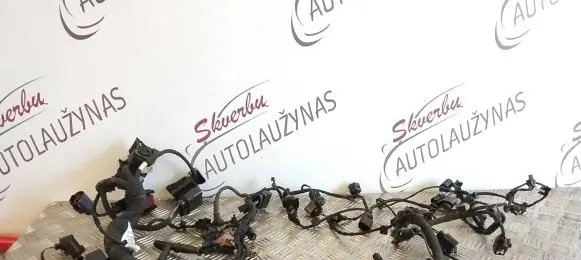 Audi A4 S4 B9 Engine installation wiring loom 059971555C 24072015 TAB026193DP