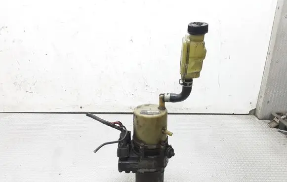 Electric power steering pump