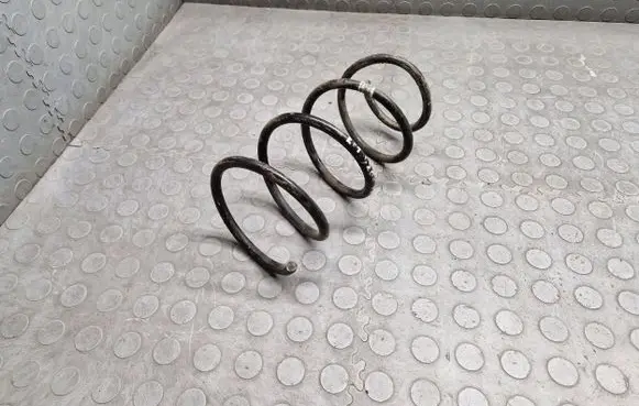 Front coil spring