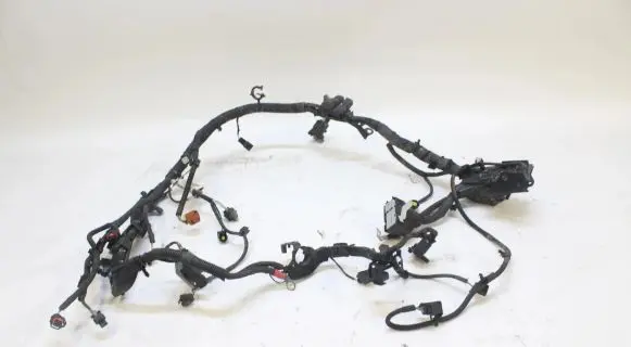 Ford Focus Other wiring loom C1BT-12A522-SF