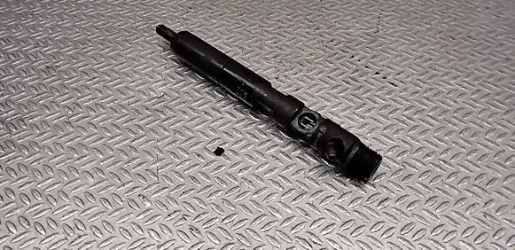Renault Clio III Fuel injector EJBR02101Z