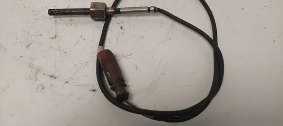 Volkswagen Crafter Exhaust gas temperature sensor 6PT014494731 070906088A
