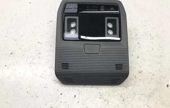 Audi Q4 e-tron Headlining lighting console trim 89A959569