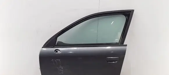 Seat Exeo (3R) Front door