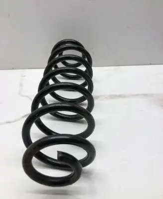 Volkswagen PASSAT B6 Rear coil spring