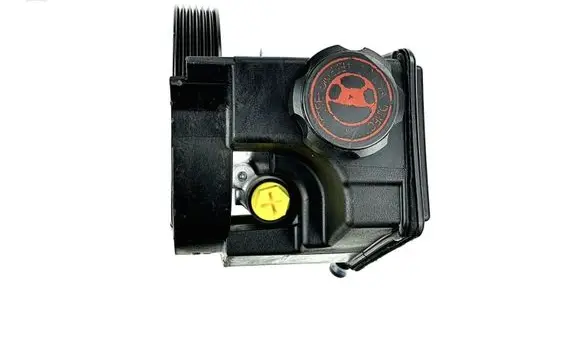 Citroen Berlingo Power steering pump 9659784880 4007LG 9641267380
