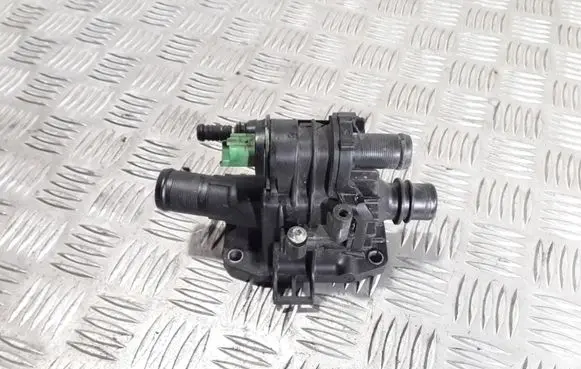 Thermostat/thermostat housing