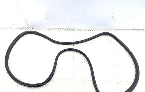 BMW X4 G02 Rubber seal front door (on door) 7424401