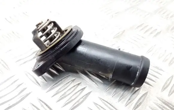 Thermostat/thermostat housing