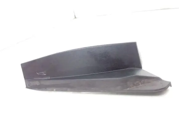 Rear/tail light trim molding