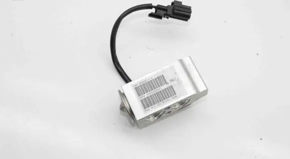 Tesla Model X Air conditioning (A/C) expansion valve 600848100B