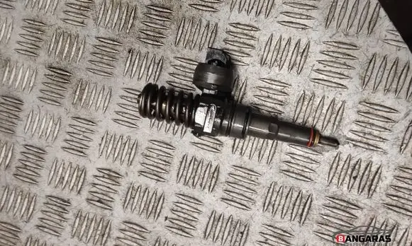 Volkswagen Golf Plus Fuel injector 038130073bn