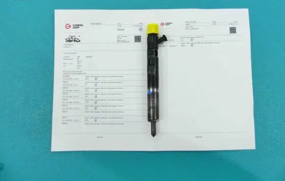 Renault Megane II Fuel injector EJBR04001D IMPRK1003353