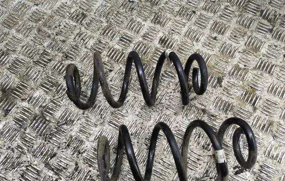 Rear coil spring