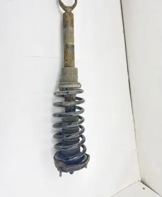 Mercedes-Benz CLS C219 Front shock absorber/damper A2193200713