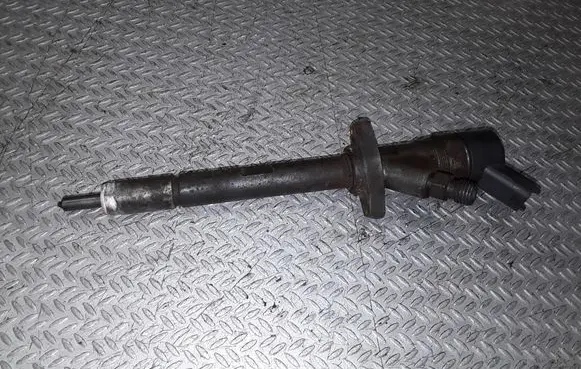 Peugeot 607 Fuel injector 0445110036