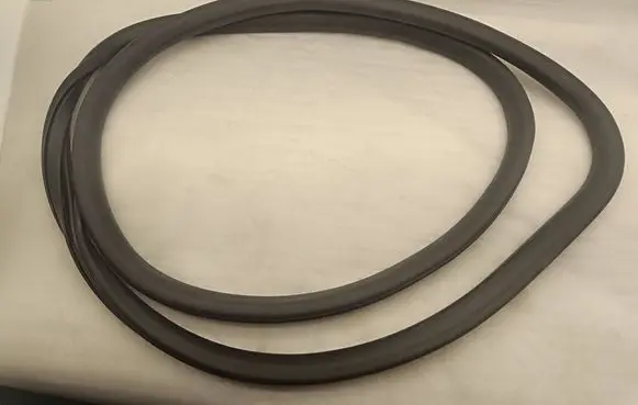 Ford Mach-E I Front door rubber seal LJ8BR253A10