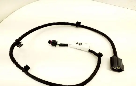 Ford C-MAX II Other wiring loom F1ET14C361
