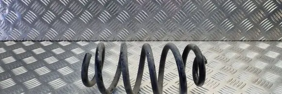Renault Zoe Rear coil spring