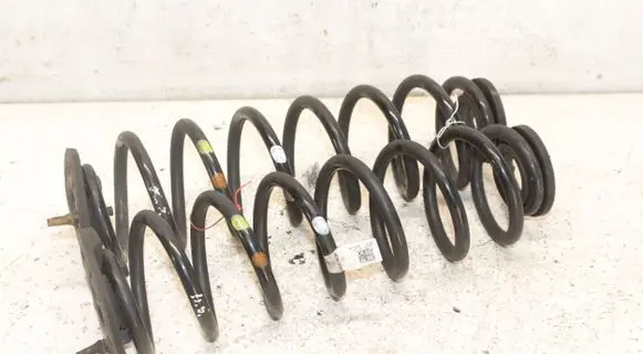 Rear coil spring