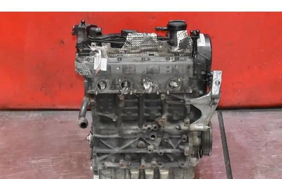 Volkswagen PASSAT B6 Engine CAG