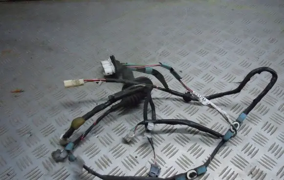 Rear door wiring loom