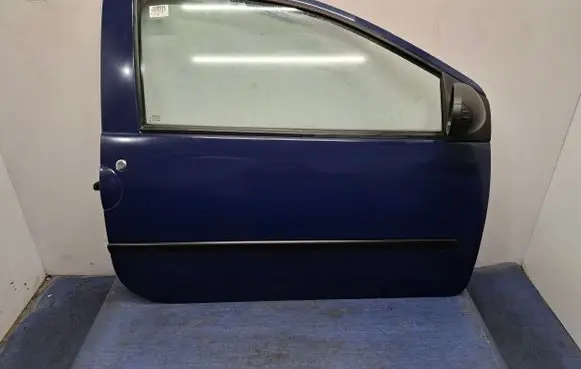 Renault Twingo II Front door