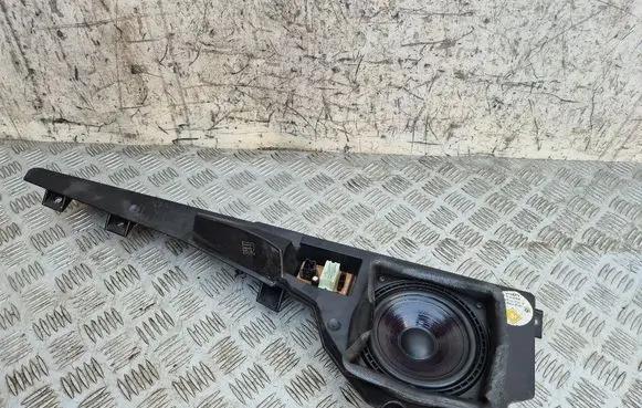 Front door speaker