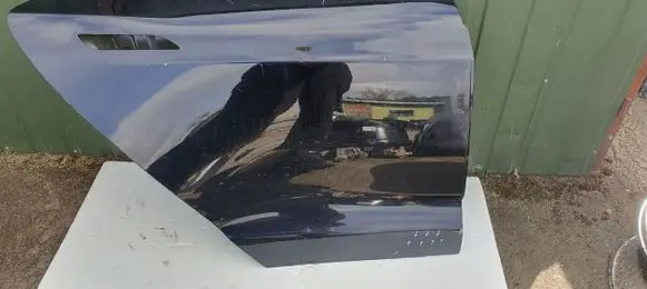 Tesla Model S Rear door 6006566