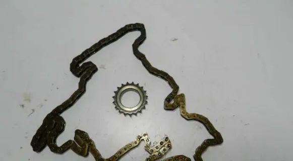 BMW 3 E46 Timing chain (engine) 