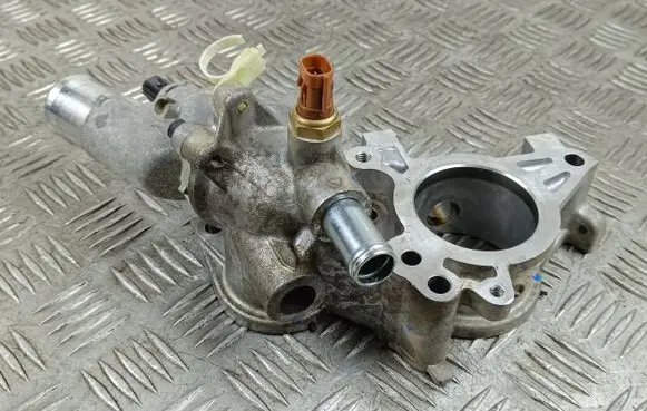 Thermostat/thermostat housing