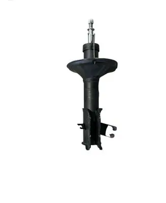 Volvo V60 Front shock absorber/damper 00462205