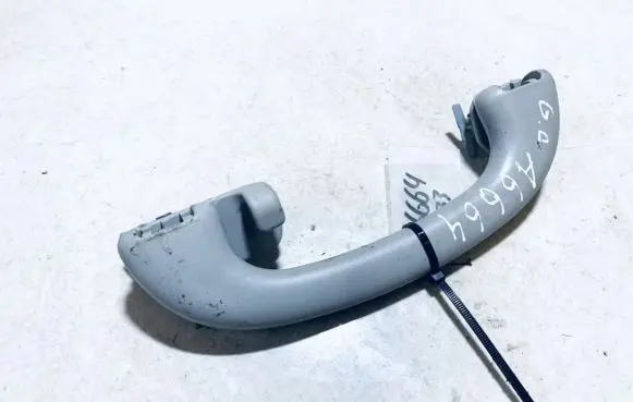 Ford Focus Rear interior roof grab handle