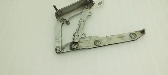 Land Rover Range Rover Sport L320 Engine bonnet/hood hinges BKB780021