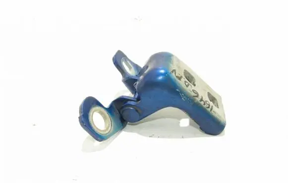 Renault Clio III Front door hinges set Nėra