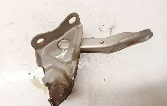 Toyota RAV 4 (XA30) Engine bonnet/hood hinges 