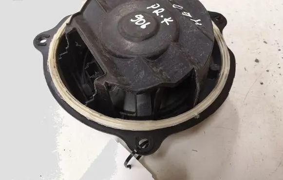 Citroen C6 Front door speaker