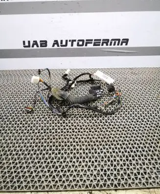 Hyundai i20 (PB PBT) Front door wiring loom 919811J200