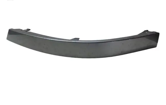 Rear/tail light trim molding